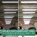 8ft LED Tube-GML-5.webp